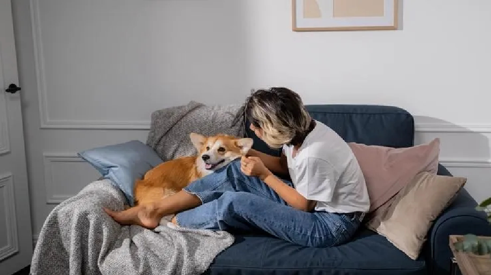 Your lovely pet dog or cat may lead to restless nights