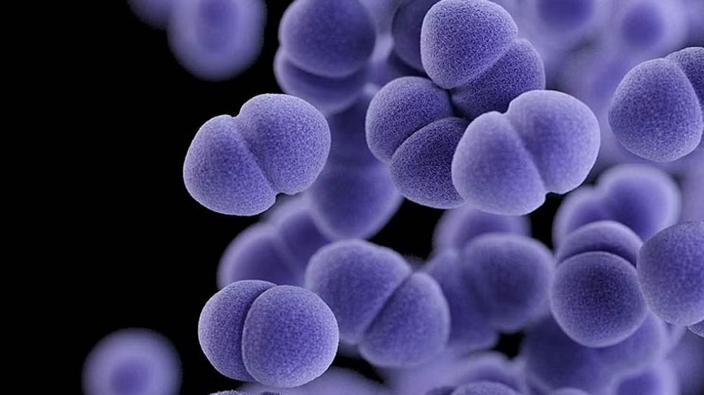 Covid can alter genome structure of our cells: Study Covid can alter genome structure of our cells: Study