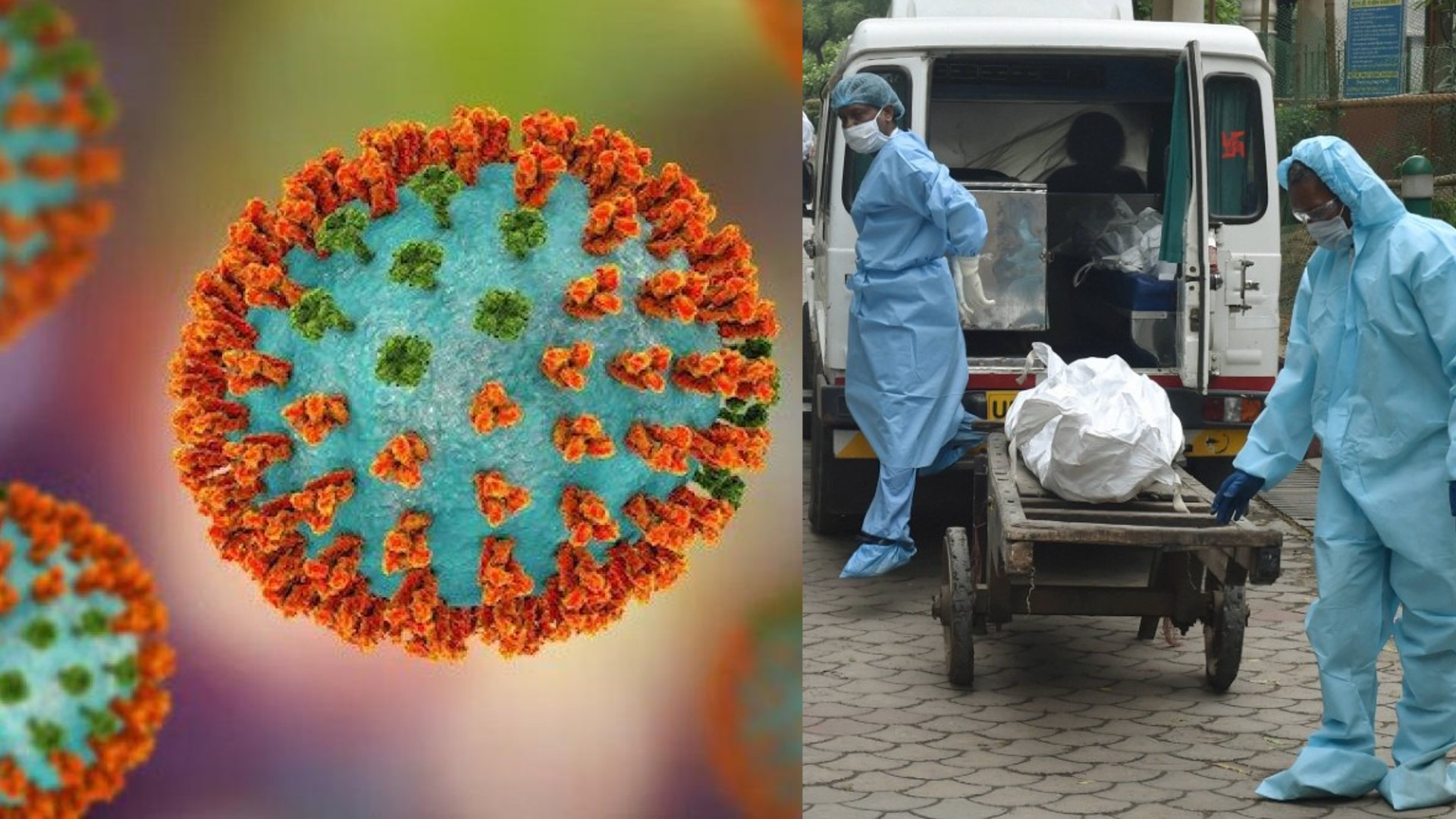 Man positive for H3N2 virus dies in Maharashtra