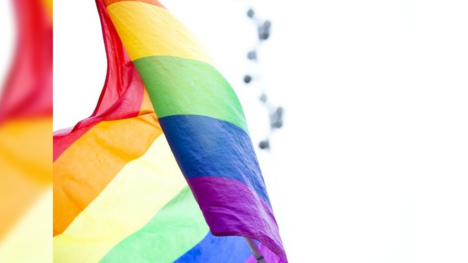 Legalising same-sex marriage will have devastating impact Legalising same-sex marriage will have devastating impact