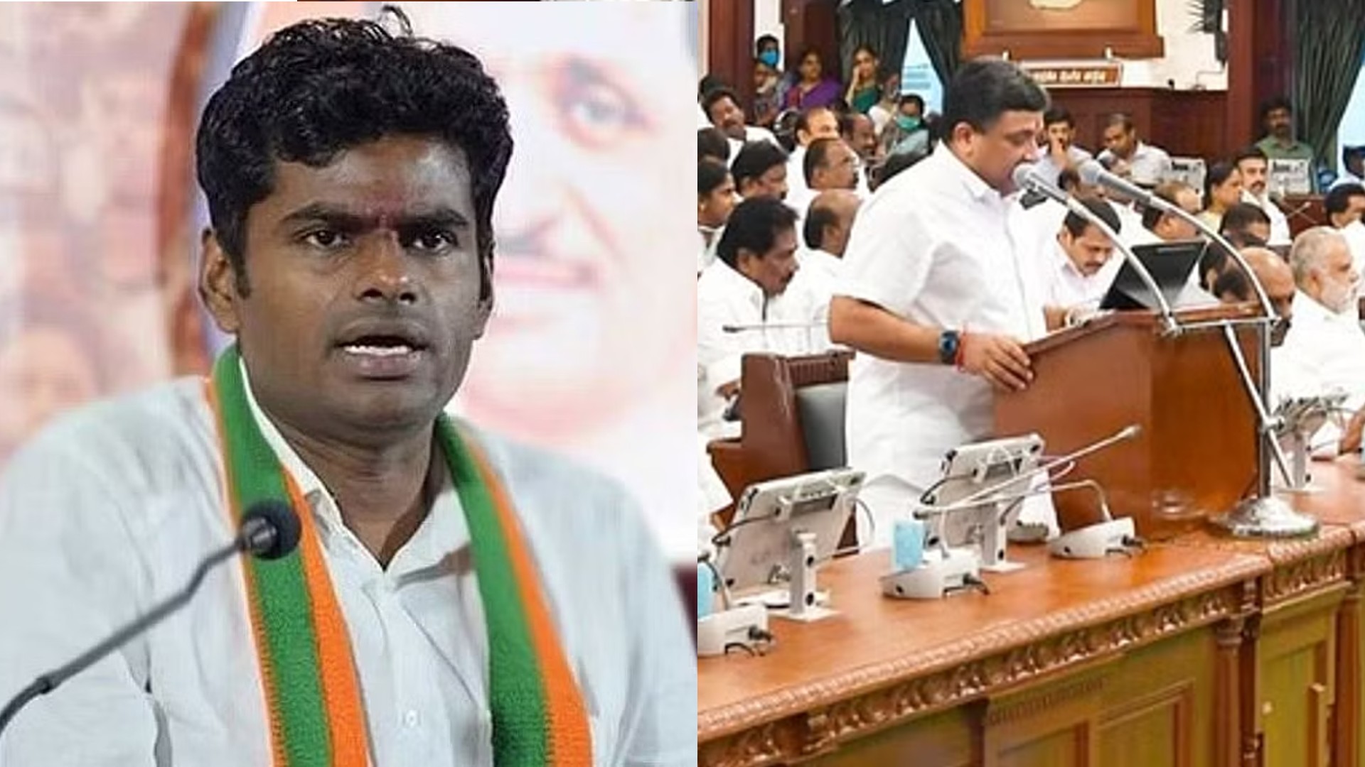 Include 28 months arrear in ₹1k financial aid to women in Budget: Annamalai