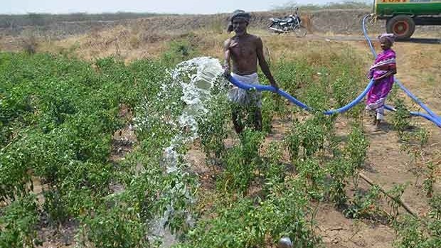 Centre asks caste details for fertilizer subsidy; farmers condemn move