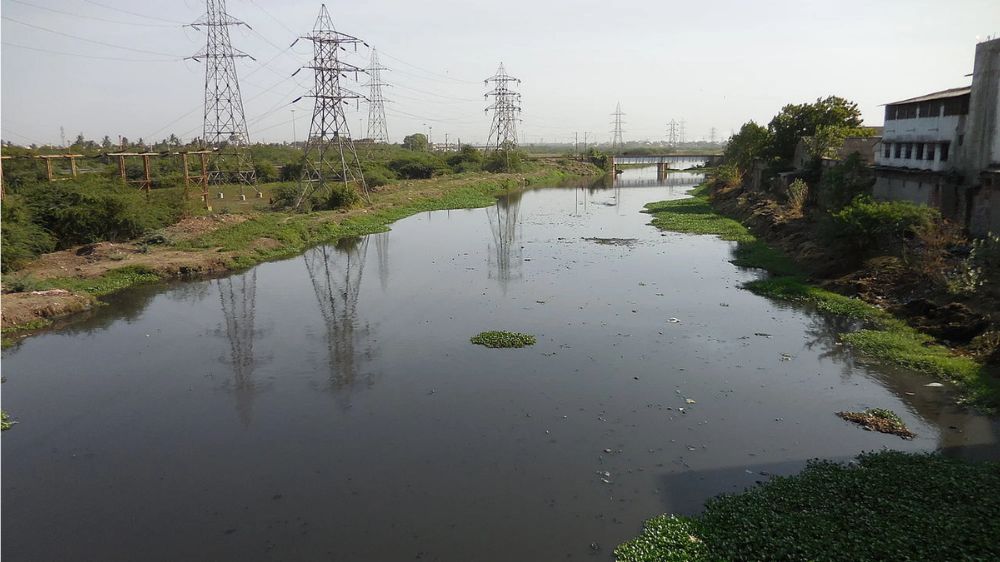 Restoration of Buckingham Canal: Biometric process for eviction to begin Restoration of Buckingham Canal: Biometric process for eviction to begin