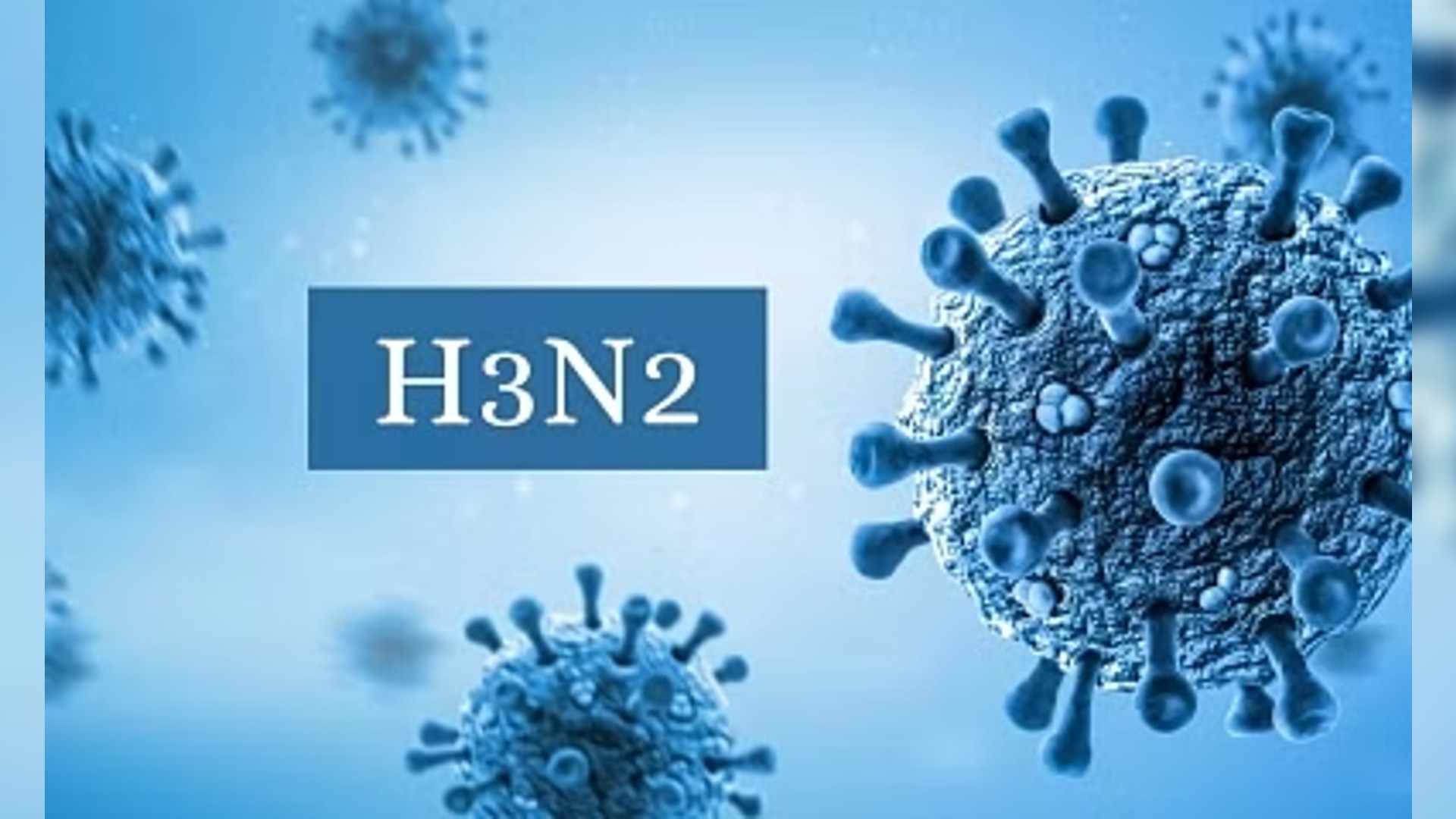 Goa govt to hold meeting on H3N2 influenza