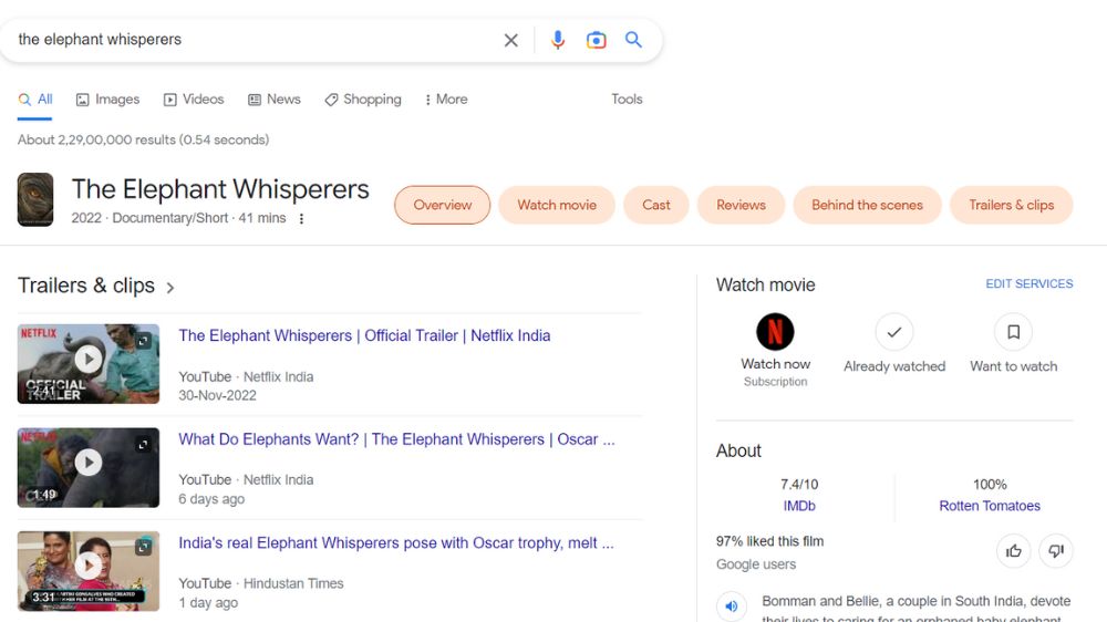 Google searches for The Elephant Whisperers skyrocketed 8,164%