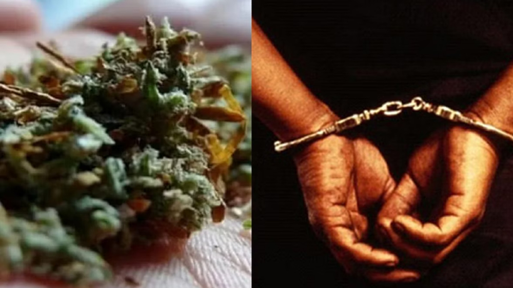 200 kg Ganja seizure: Absconding accused held in Chennai