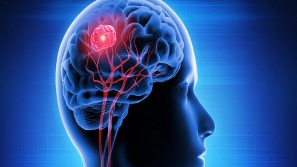 Excess calories during development alter brain, spurs adult overeating Excess calories during development alter brain, spurs adult overeating