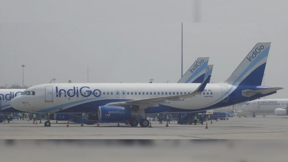 At 55.9%, IndiGo led market share in Feb; received 359 complaints At 55.9%, IndiGo led market share in Feb; received 359 complaints