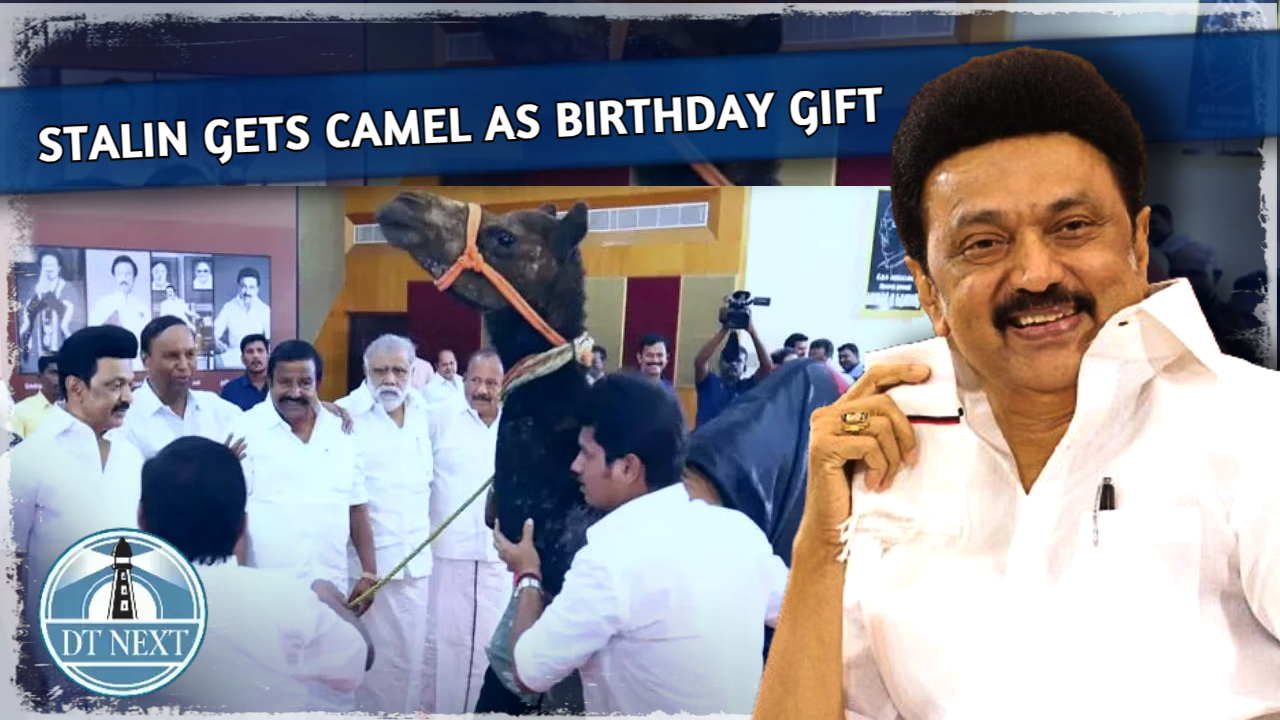 Stalin gets Camel as birthday gift