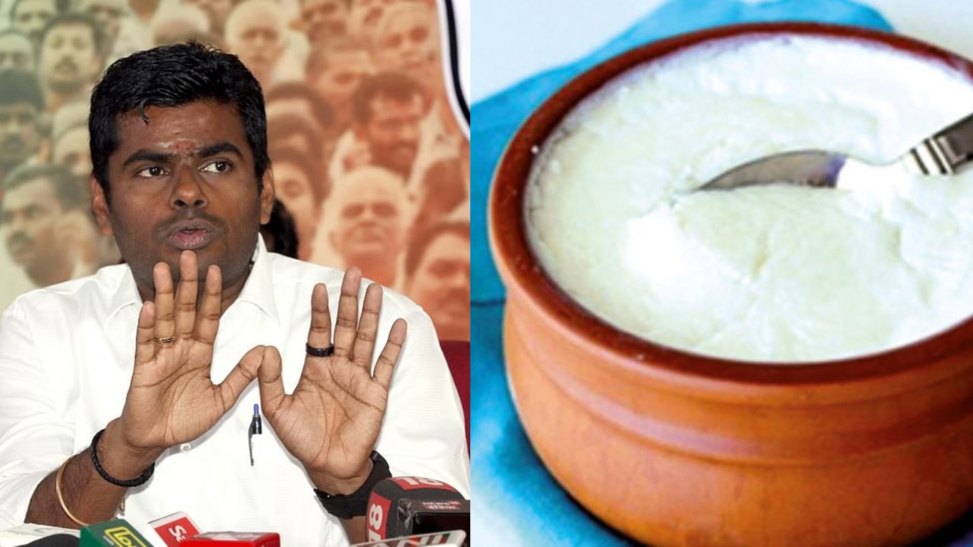 Annamalai urges FSSAI to rollback Dahi notification