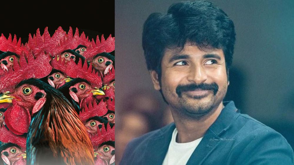 Native elements can go on to win global recognition: Sivakarthikeyan