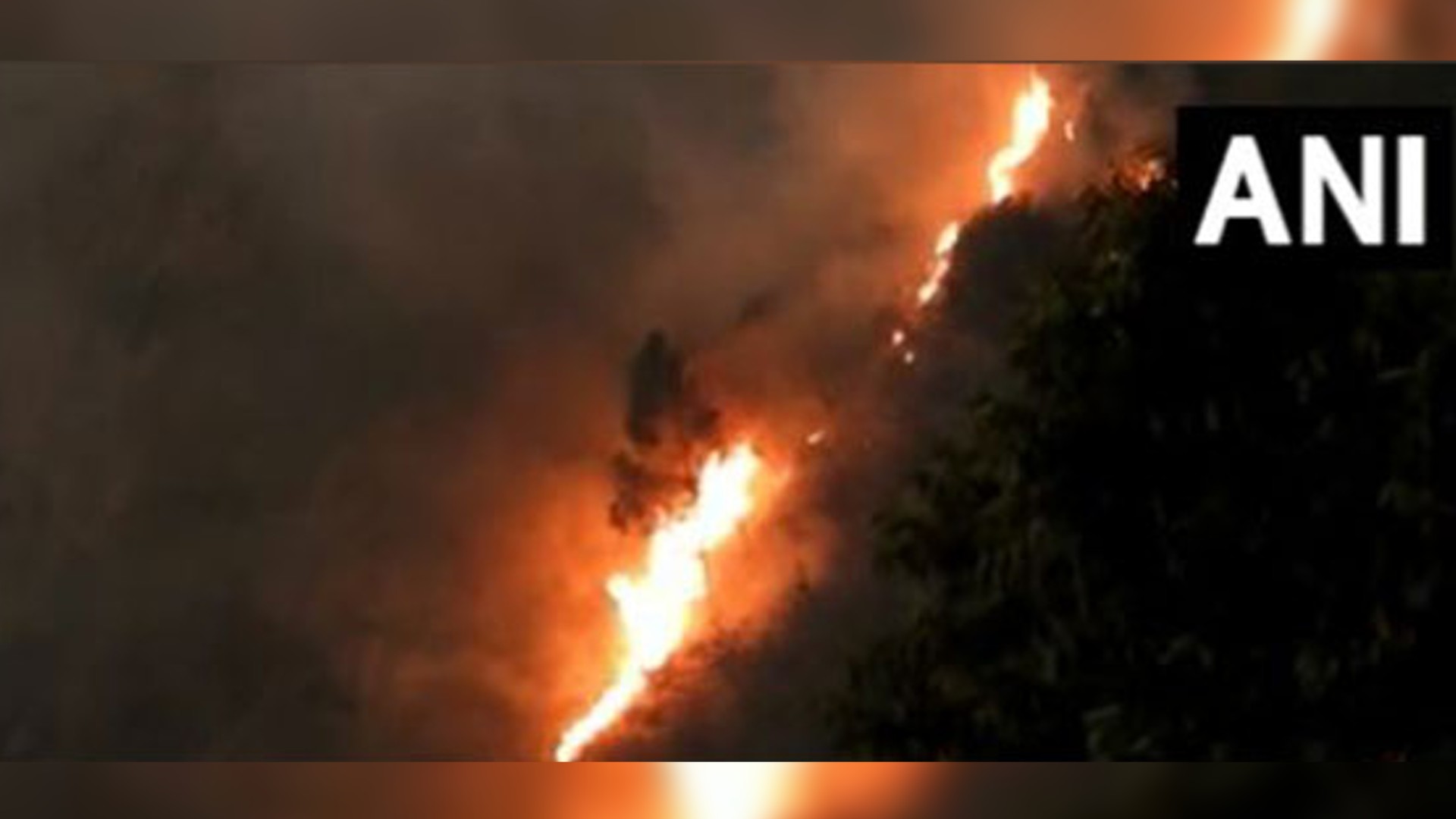 Forest fire breaks out near Kodaikanal hills in Tamil Nadus Dindigul
