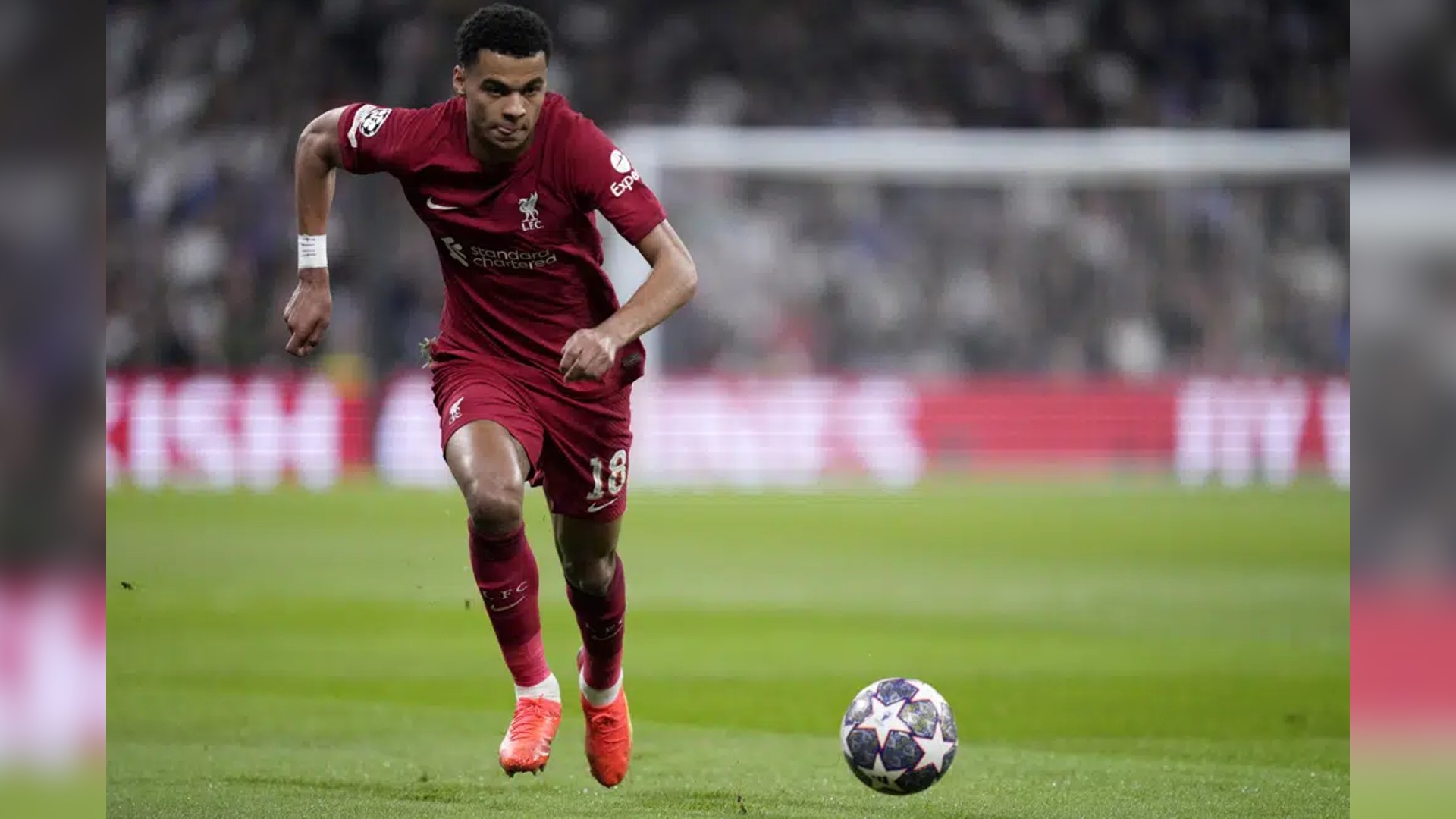 5 players out as viral infection hits Netherlands squad