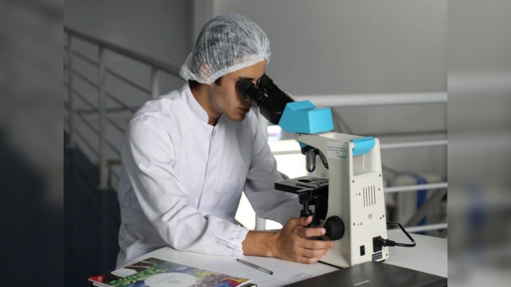 Nervous system plays key role in severe allergy shock