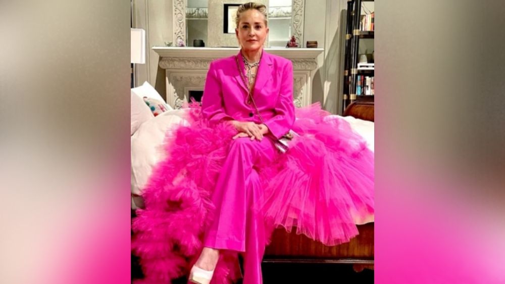 Sharon Stone breaks down as she admits losing half her money