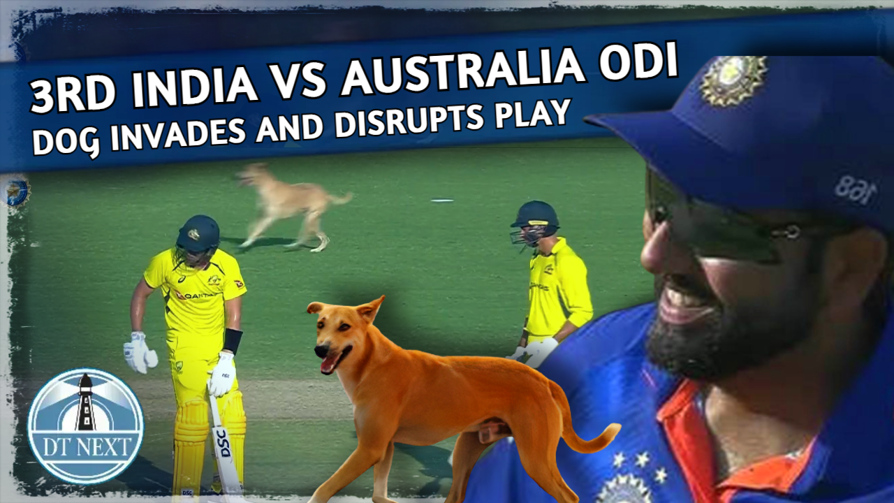Play halts as dog invades field of play during India vs Australia Match