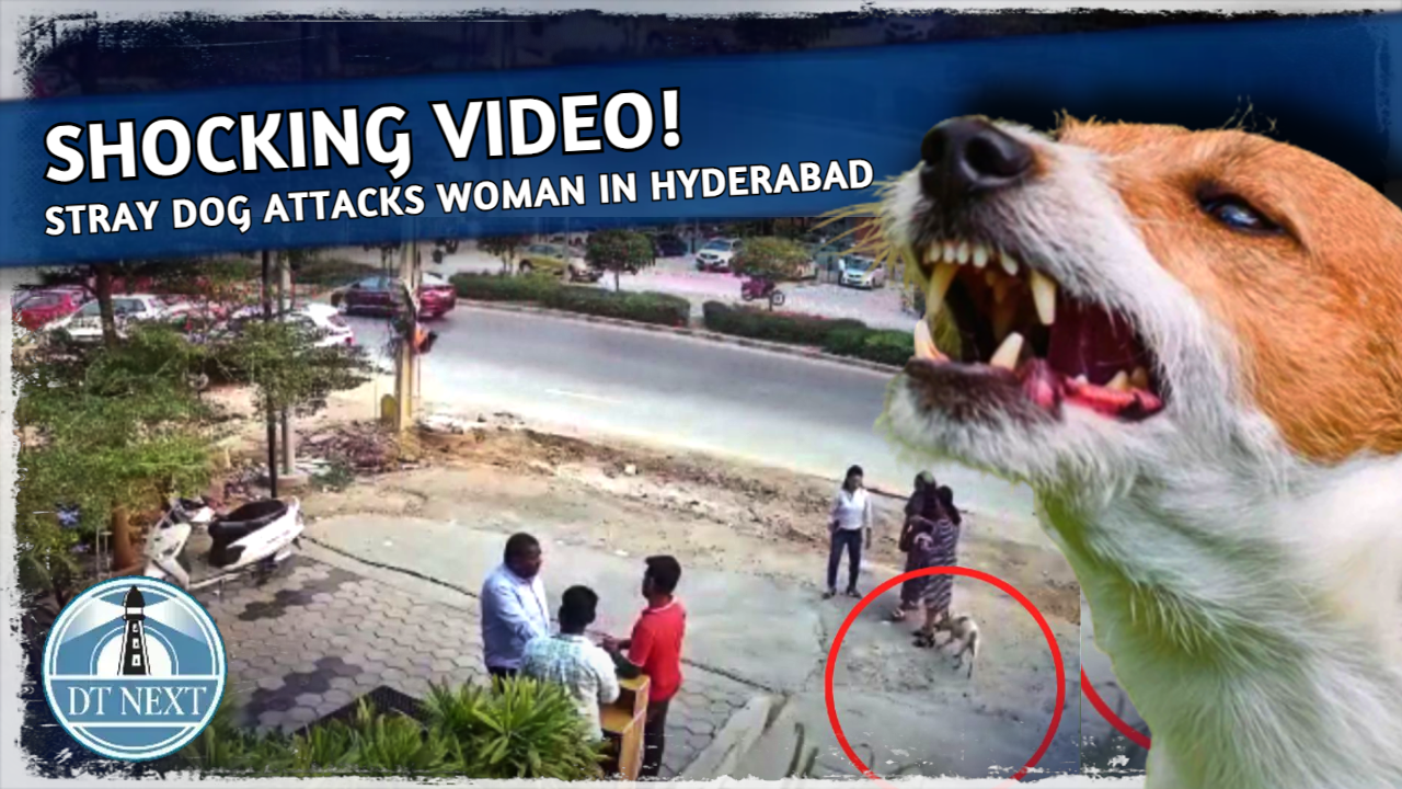 Stray dog attacks woman in Hyderabad