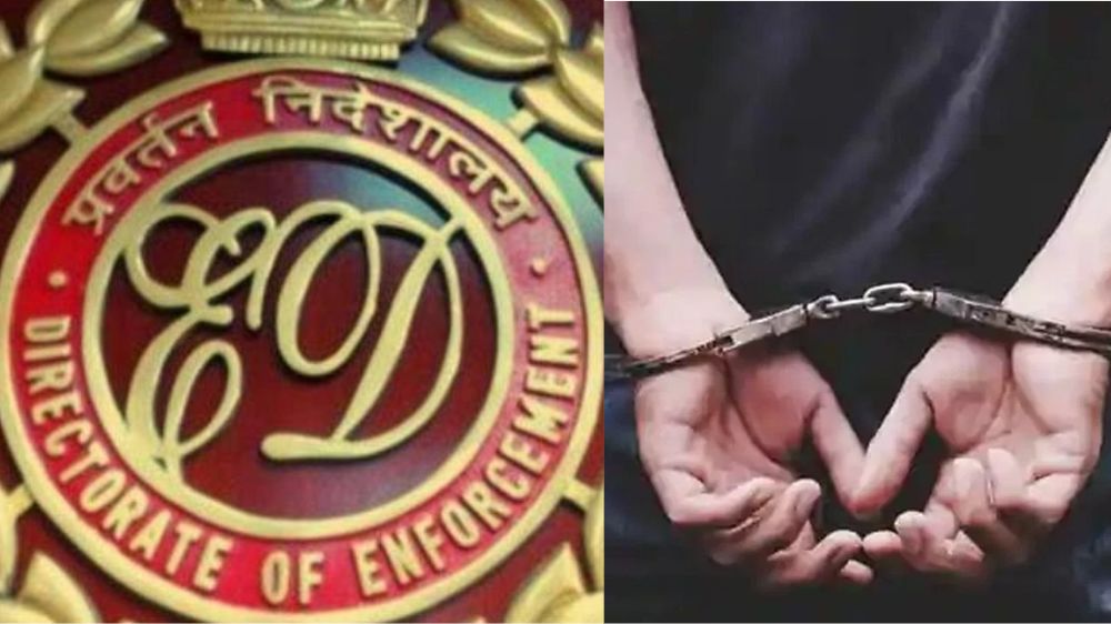 ED arrests sea cucumber smuggler from Rameswaram