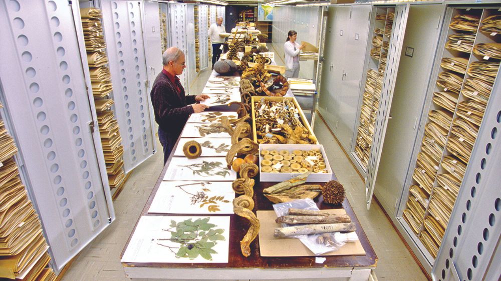 Museums take stock of a billion objects from all over