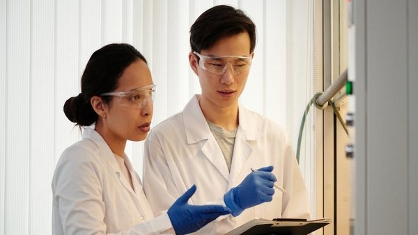 Effects of hormone replacement therapy on health of heart, brain