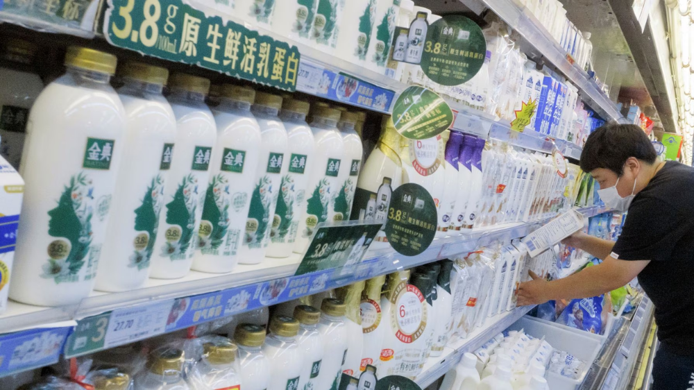 Milk prices spiked in last six months: Report
