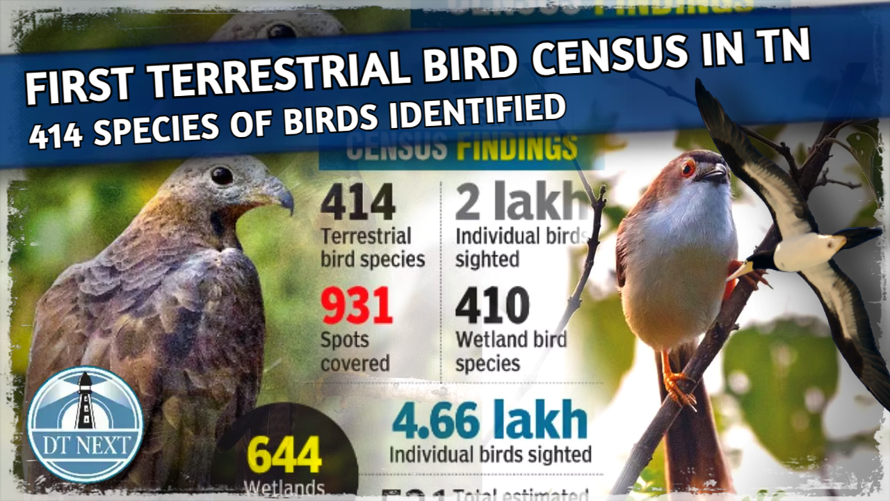 First terrestrial bird census conducted in TN First terrestrial bird census conducted in TN
