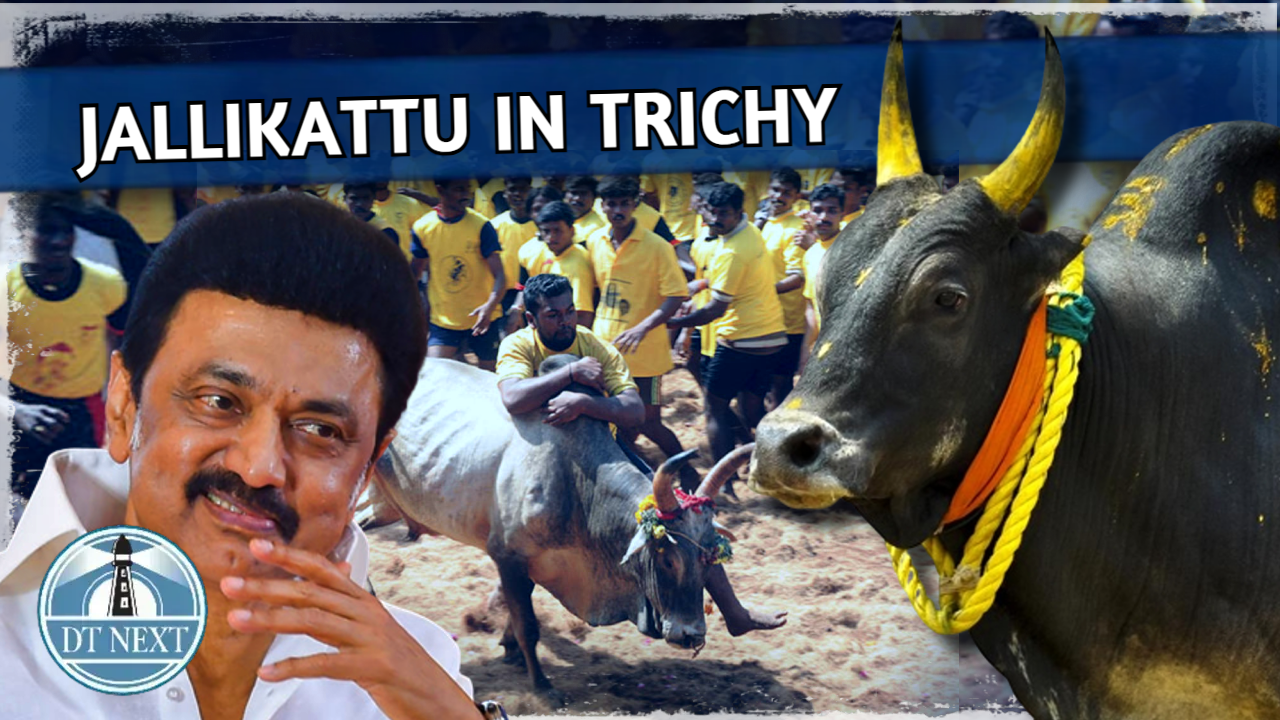 Stalins 70th birthday: Jallikattu held near Trichy Stalins 70th birthday: Jallikattu held near Trichy
