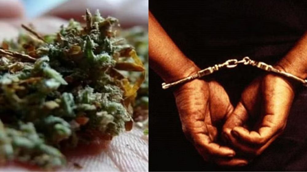 Police’s Prohibition Enforcement Wing seizes 35 kg of ganja, arrests 4