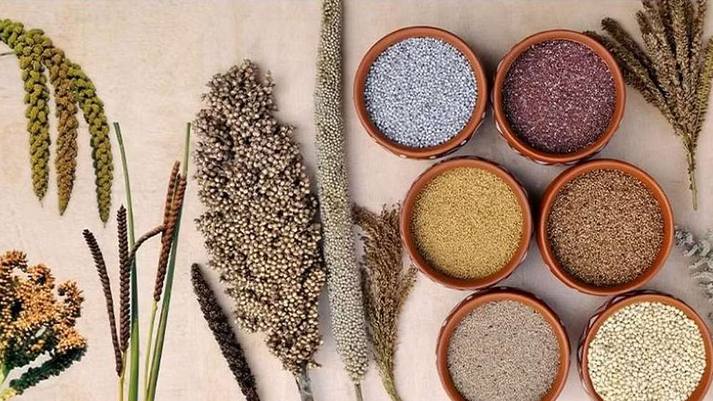 Millet show in Thanjavur govt school