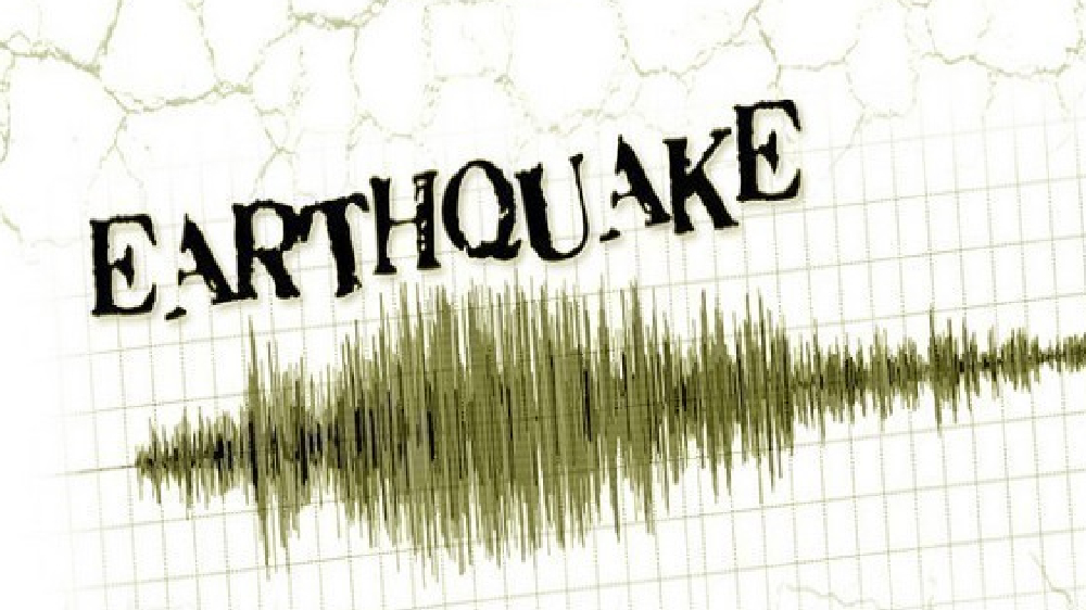 Earthquake of magnitude 4.6 hits Tibet’s Xizang