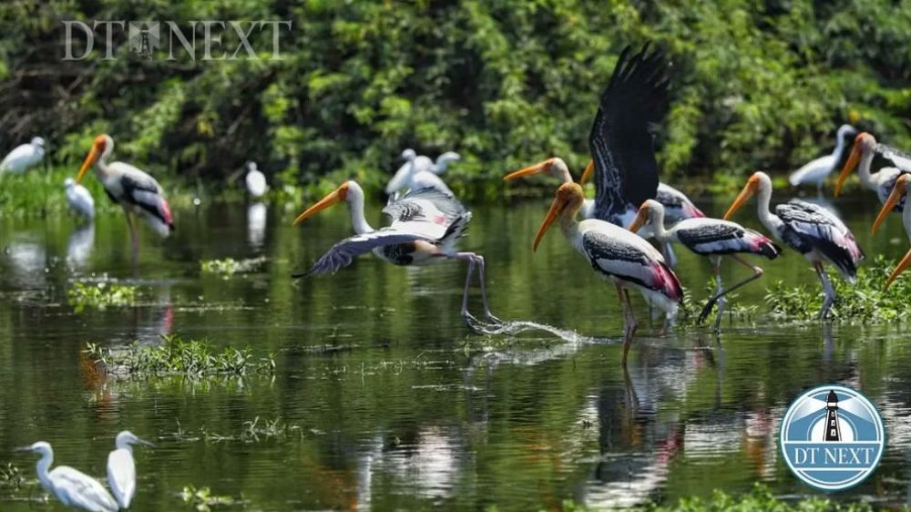 Hydrological data to be collected at Ramsar sites in TN