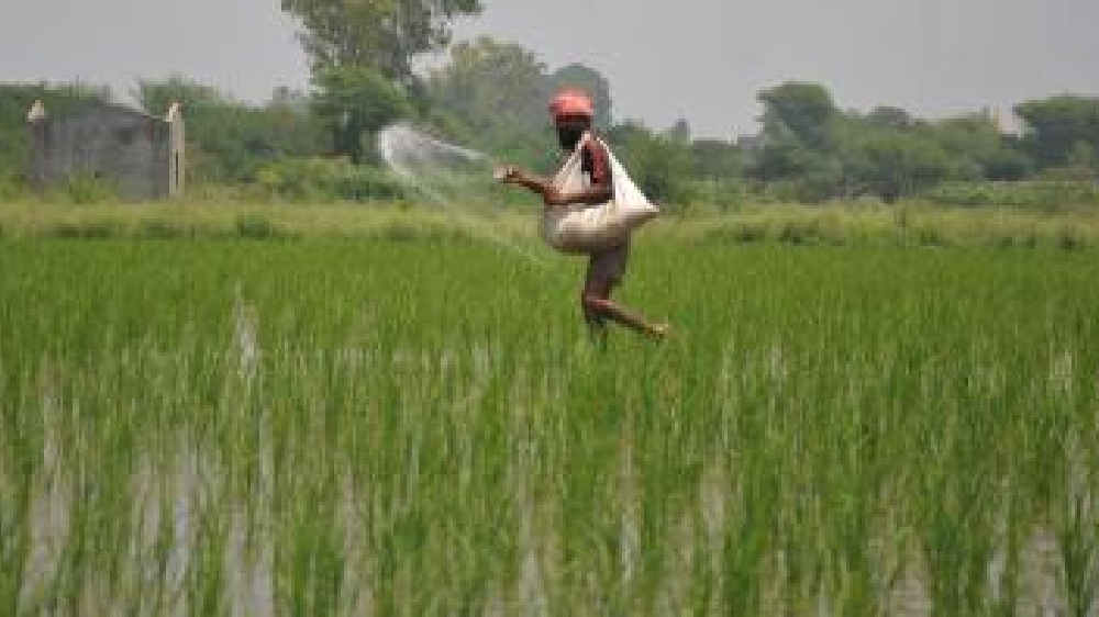 Banned pesticides found in several parts of TN, govt to take action