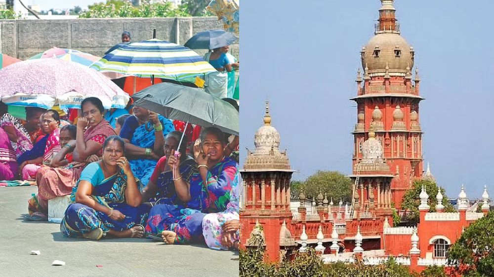 MHC allows GCC to regulate fish vendors on the Loop road