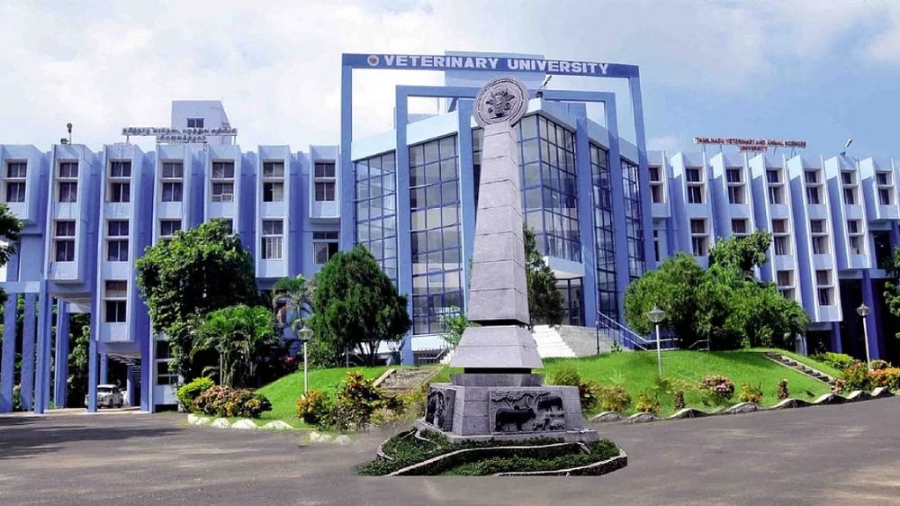 Tanuvas to take up indigenous cattle farming, breeding of Toda buffalo