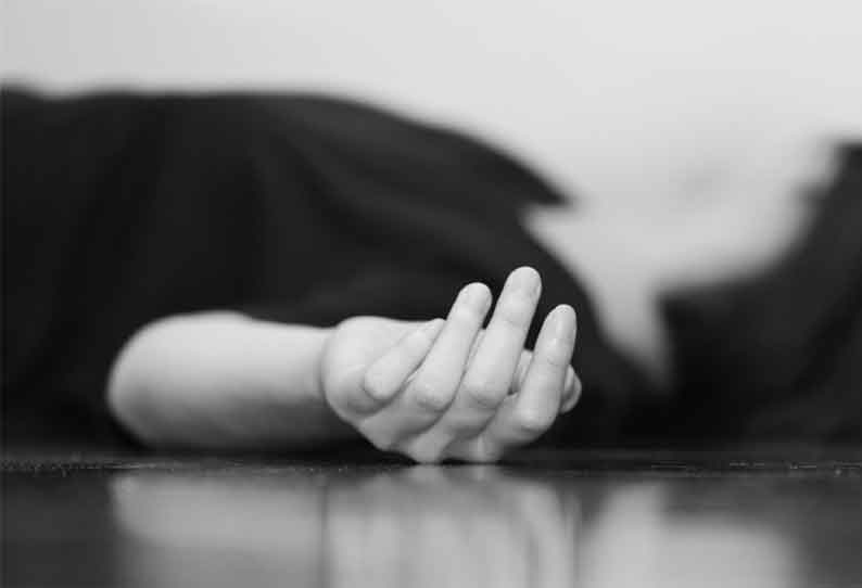 BJP worker hacked to death near Chennai