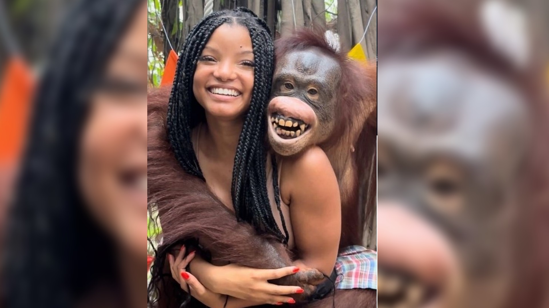 Halle Bailey slammed for posting photos with animals at zoo