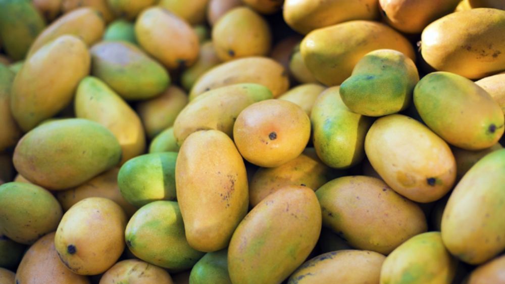 5 tonnes of artificially ripened mangoes seized at Koyambedu market