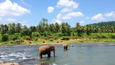 Sri Lanka sees increase in tourism earnings in first quarter Sri Lanka sees increase in tourism earnings in first quarter