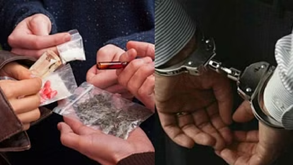 Chennai Police’s PEW seize 24.5 kg ganja; 5 held