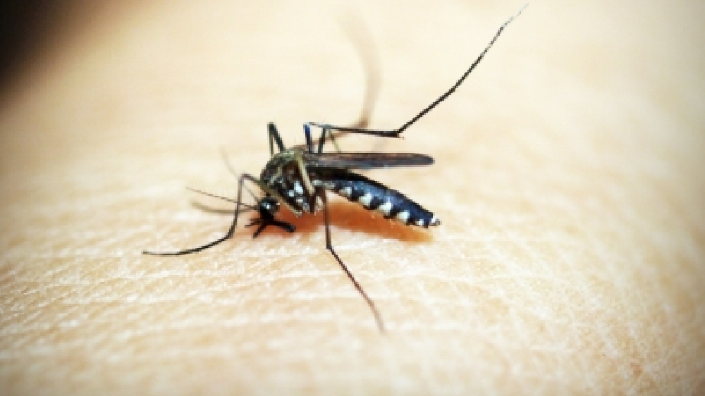 Cambodia sees sharp drop in malaria cases in over a decade: PM