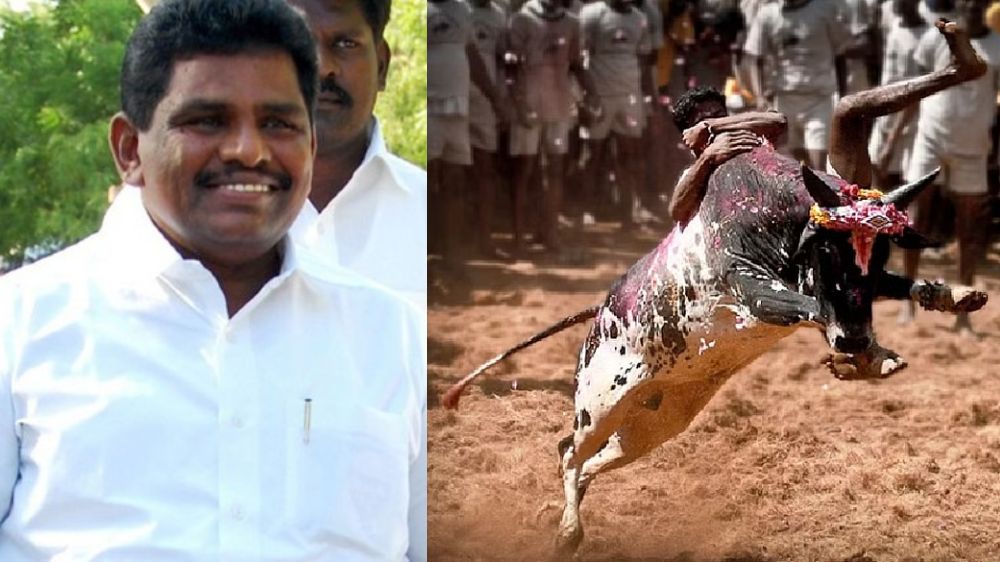 Online registration for Jallikattu bulls: Minister Radhakrishnan