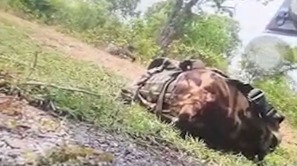 Chhattisgarh: Viral video shows Naxal taking position after Dantewada attack
