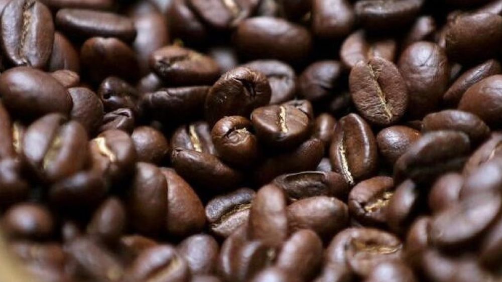 Cuppa matters: What climate change could mean for your coffee