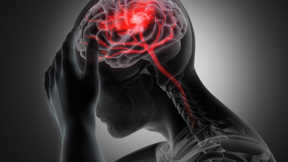 Researchers discover brain developing sequence through adolescence