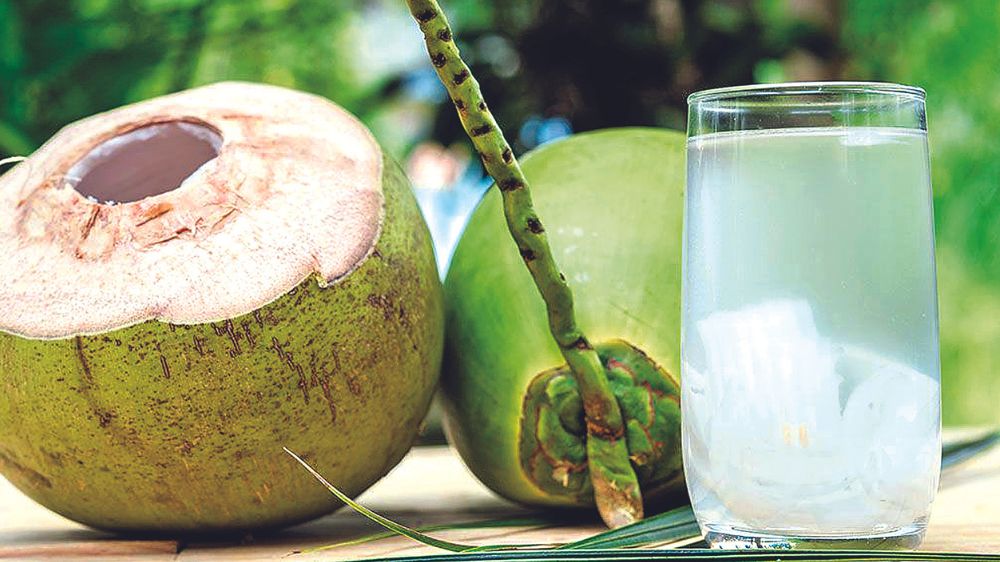 Stay hydrated with tender coconut water