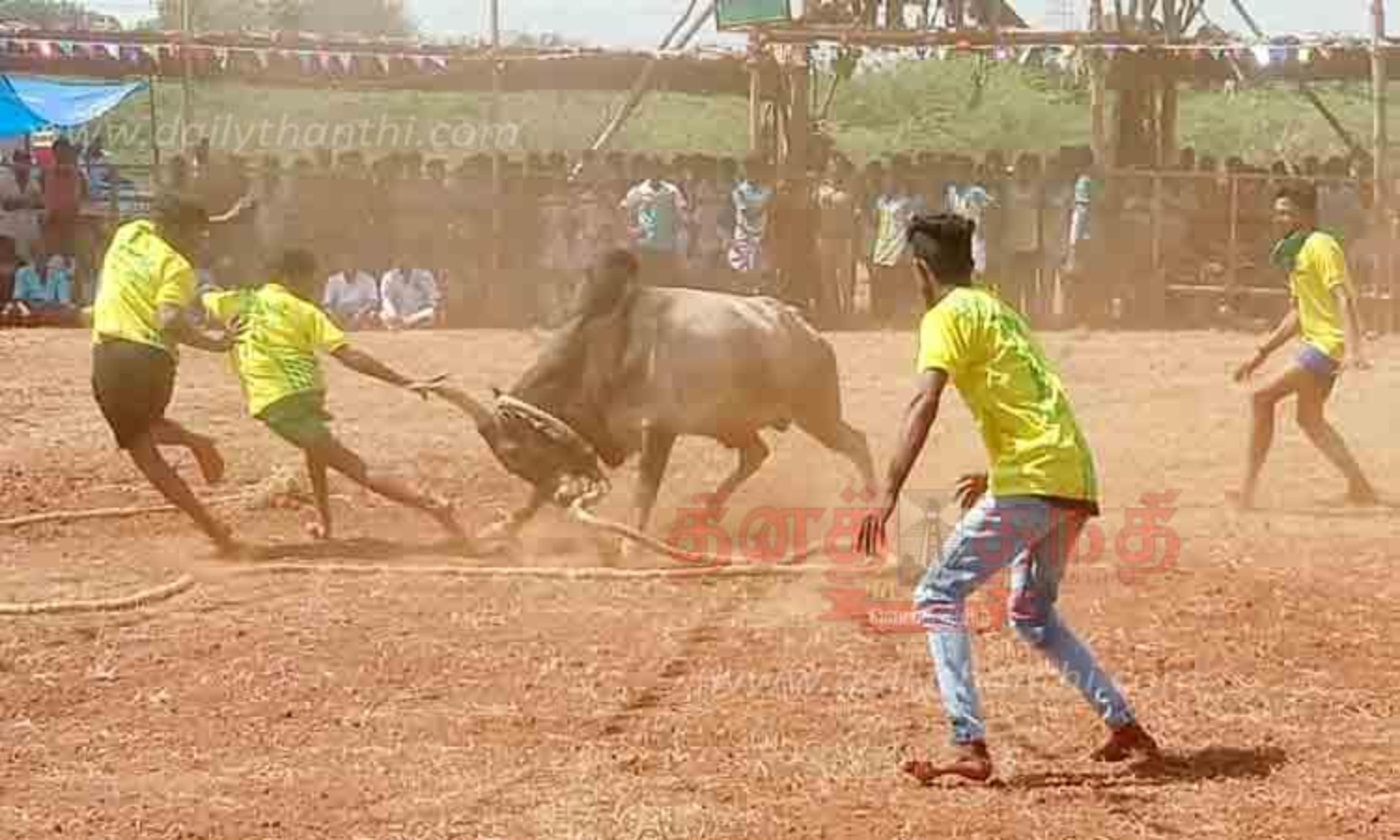 2 spectators gored to death, 40 hurt during Manjuvirattu in Sivaganga 2 spectators gored to death, 40 hurt during Manjuvirattu in Sivaganga