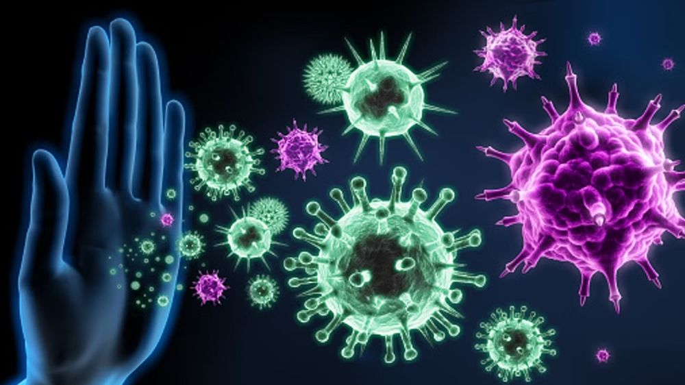 Boosting anti-viral immune response could slow down aging: Study