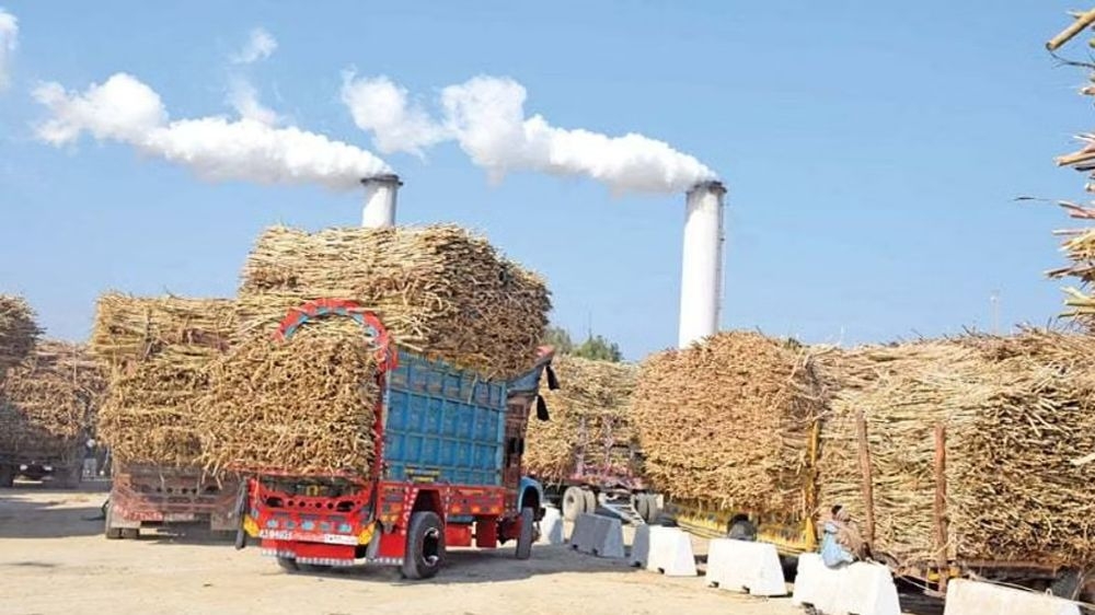 Vellore sugar mill earns Rs 15 crore profit after two decades