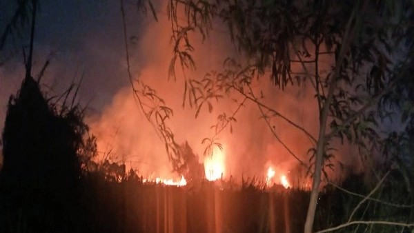 Kerala: Major fire breaks out on Cochin Port Authority land, doused