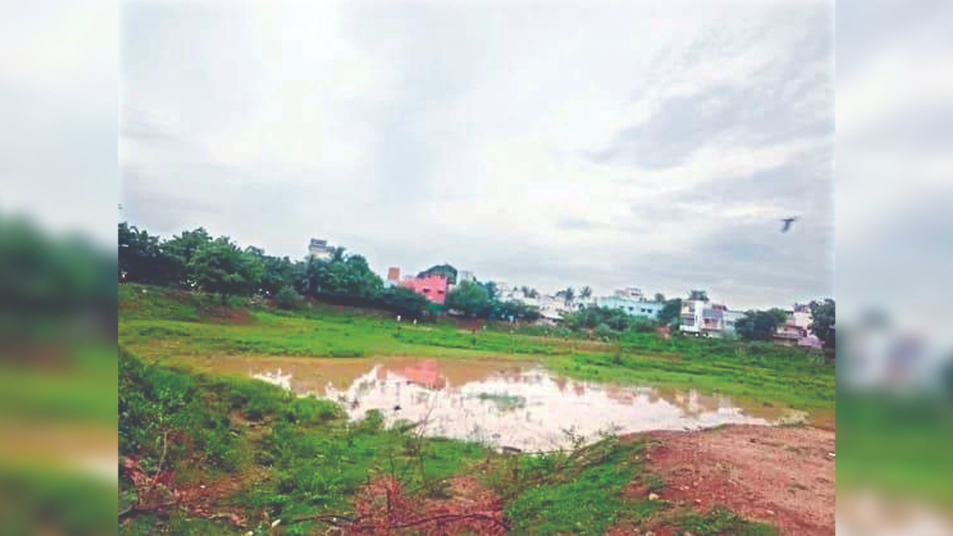 Citizen Connect: Rejuvenate Karuppan pond in Ambattur, urge residents
